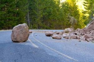 rocks on road by forest