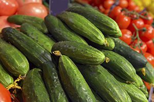salmonella tainted cucumbers