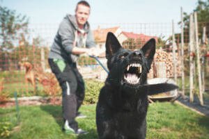 dog bite injury compensation